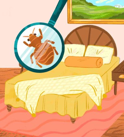 Ágyi poloska az ágy környékén bújik meg mindig.